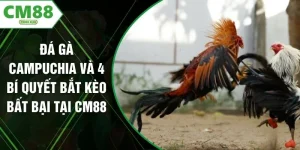 Đá Gà Campuchia Và 4 Bí Quyết Bắt Kèo Bất Bại Tại CM88