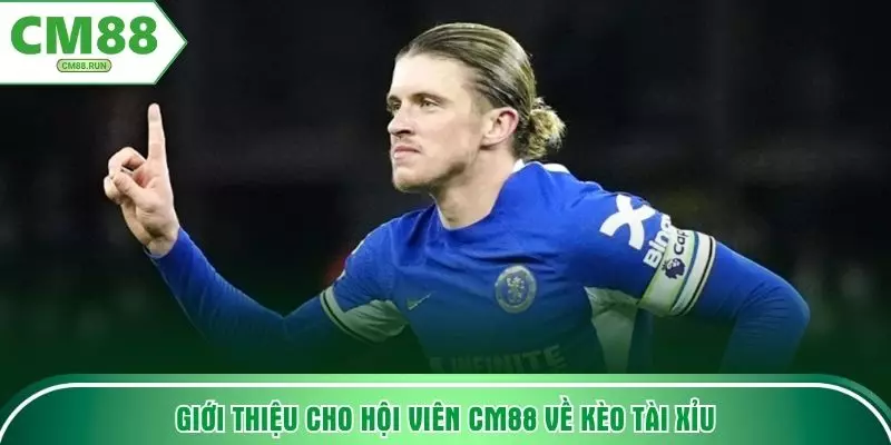 Giới thiệu cho hội viên CM88 về kèo tài xỉu