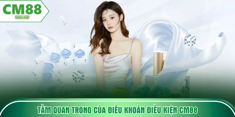 Tầm quan trọng của điều khoản điều kiện CM88